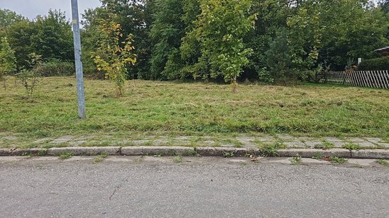 Unbebautes Grundstück mit Rasenfläche, jungen Bäumen und angrenzendem Straßenbereich