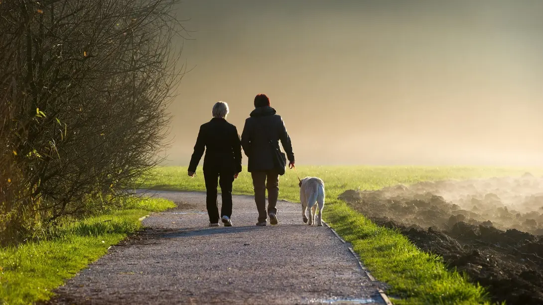 Naturnah leben und entspannt wohnen Zwei Personen gehen mit Hund auf einem Feldweg in der Natur bei warmer Abendstimmung.