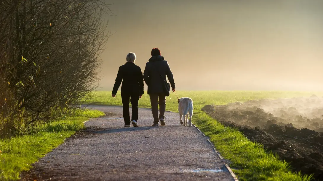 Zwei Personen gehen mit Hund auf einem Feldweg durch eine ruhige, naturnahe Landschaft.